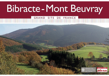 Singulariser les territoires de montagne. Approches critiques des processus de labellisation dans les constructions territoriales